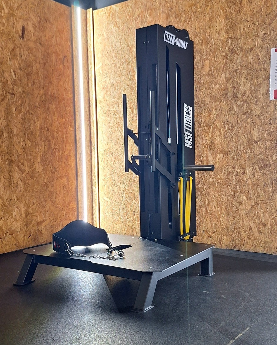 Linear Belt Squat