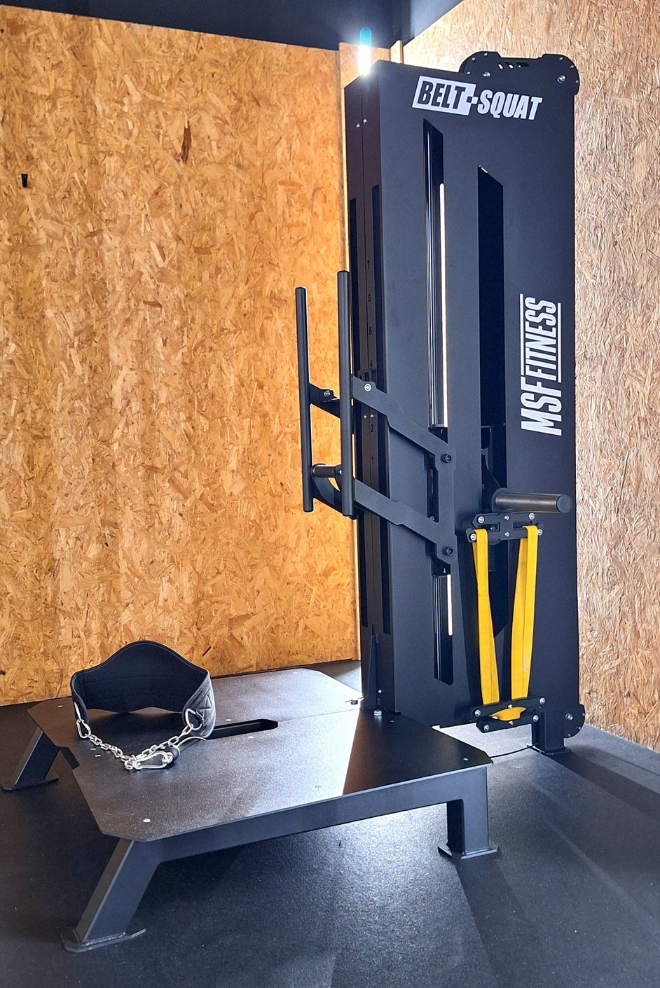 Linear Belt Squat